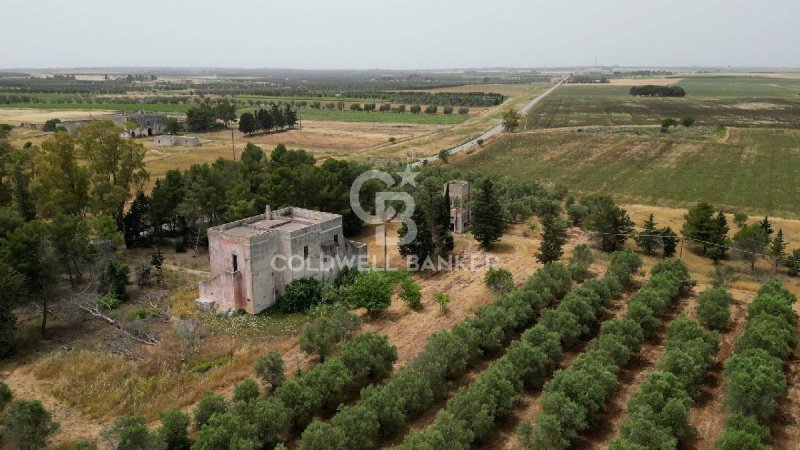 Casa de campo en Veglie