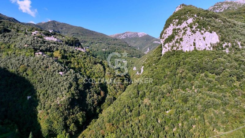 Landbouwgrond in Camaiore