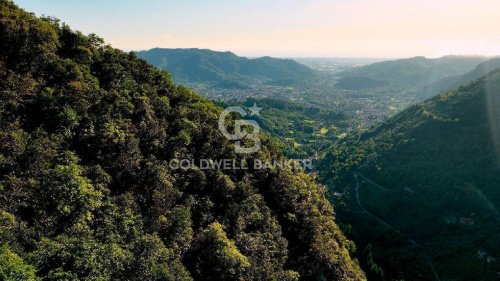 Landbouwgrond in Camaiore