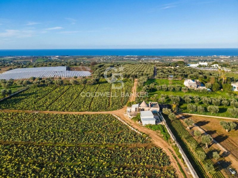 Terreno agrícola en Polignano a Mare