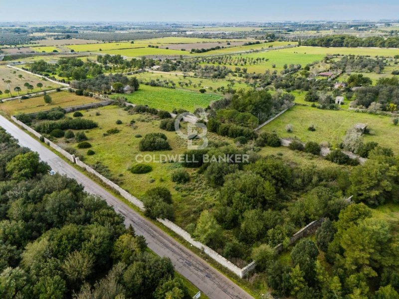 Terreno agrícola em Scorrano
