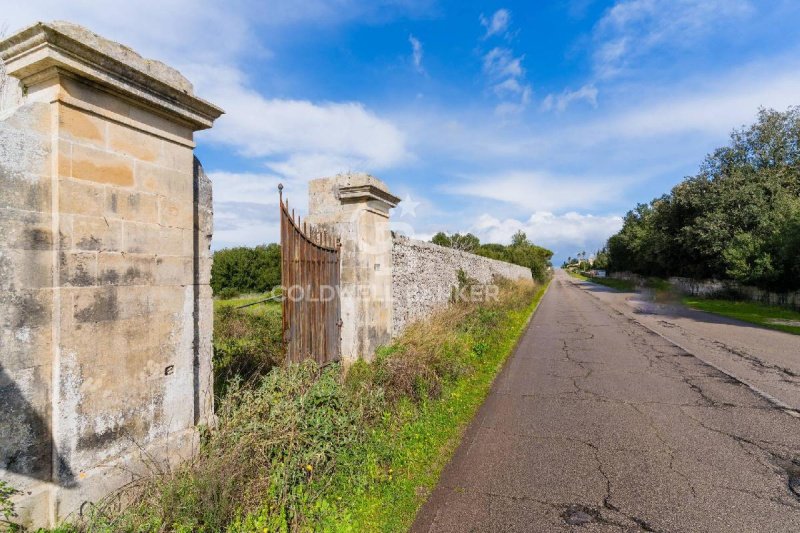 Terreno agrícola em Scorrano