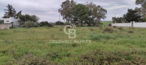 Agricultural land in Avetrana