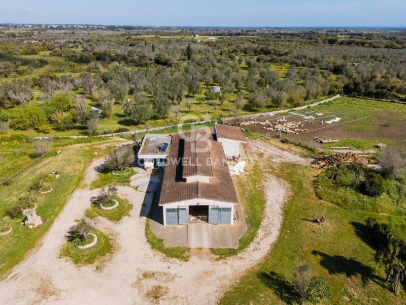 Quinta agrícola em Melendugno