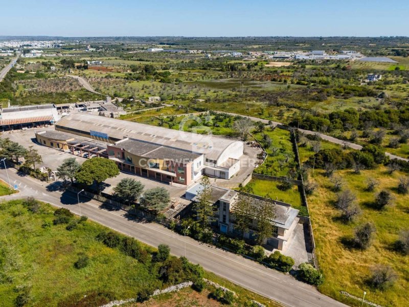 Edifício comercial em Salve