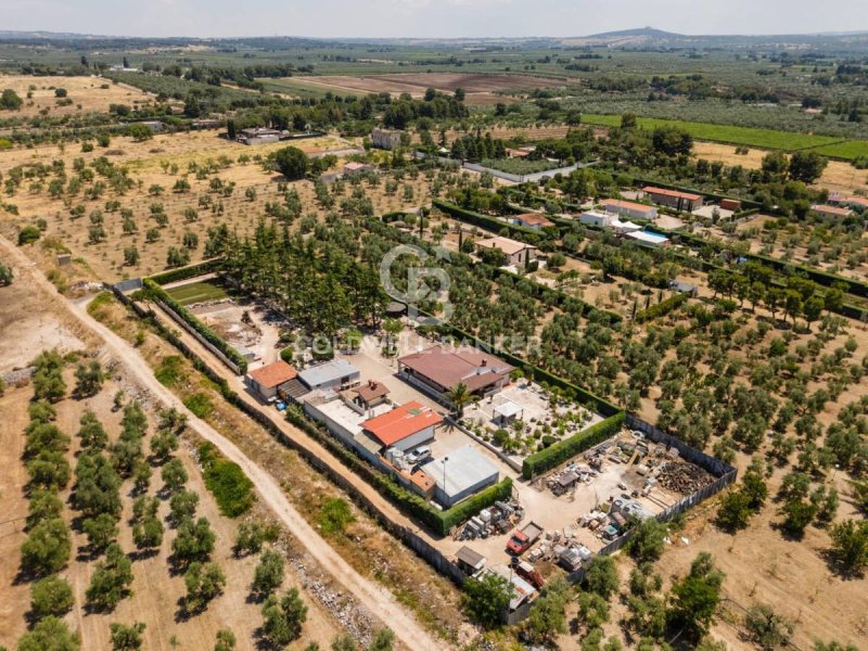 Villa in Andria