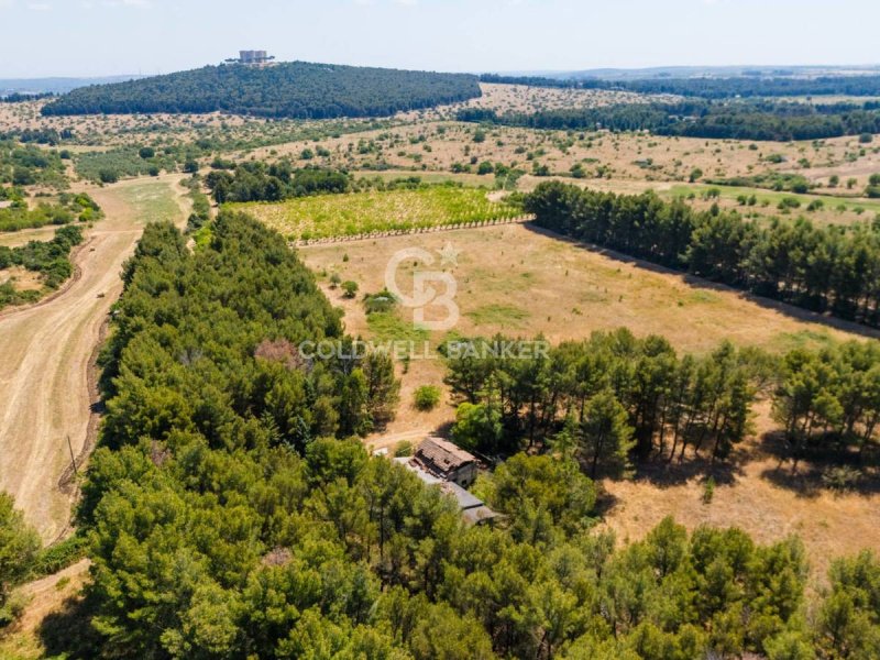 Huis op het platteland in Andria