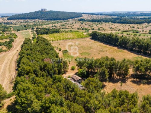 Huis op het platteland in Andria