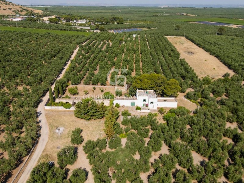 Huis op het platteland in Andria