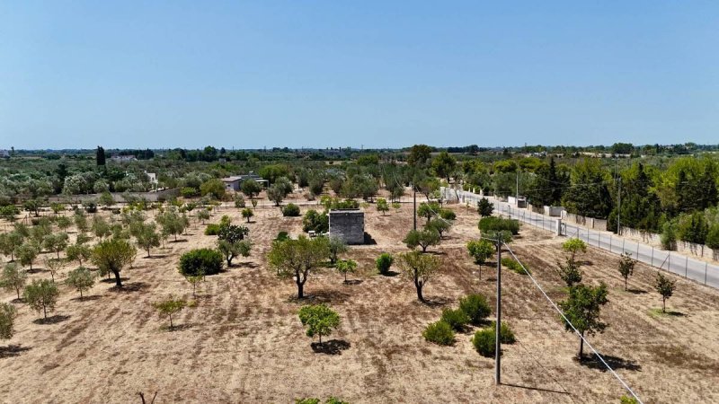 Maison de campagne à Novoli
