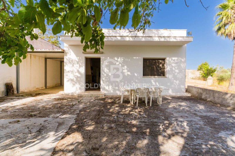 Einfamilienhaus in Collepasso