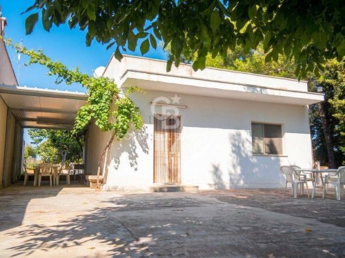 Einfamilienhaus in Collepasso