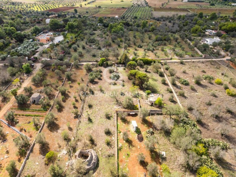 Terreno agricolo a Sannicola