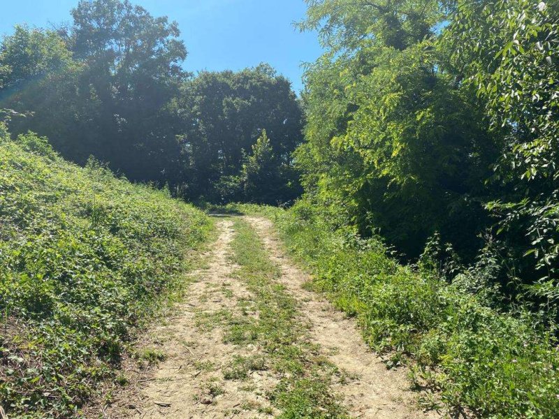 Terreno para construção em Villa San Secondo