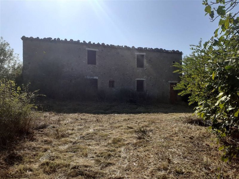 Farmhouse in Scansano