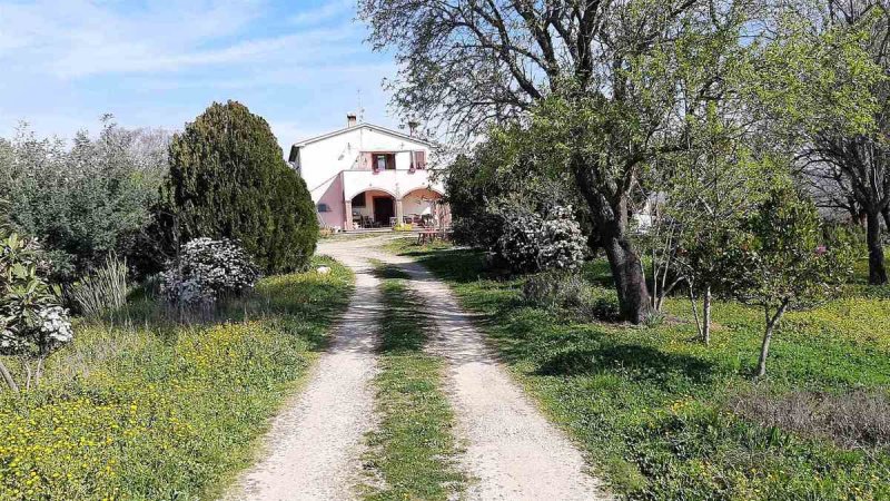 Casolare a Magliano in Toscana