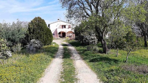 Klein huisje op het platteland in Magliano in Toscana