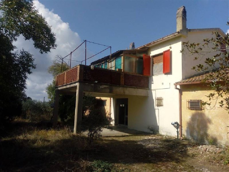 House in Scansano