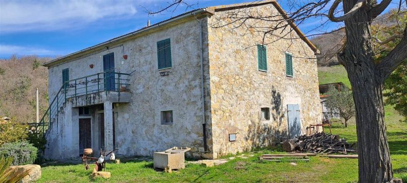 Lantställe i Scansano