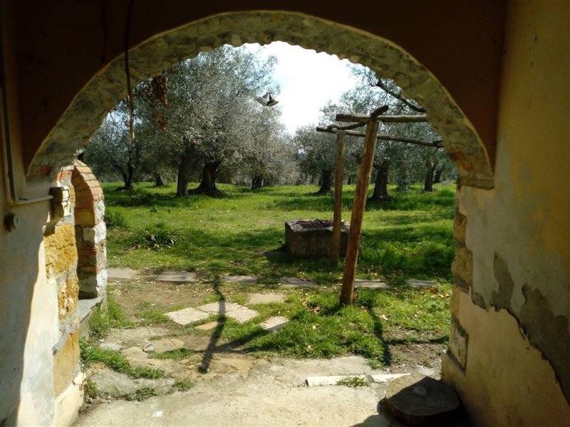 Farmhouse in Scansano