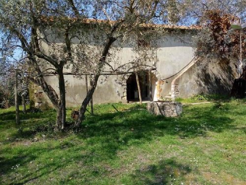 Farmhouse in Scansano