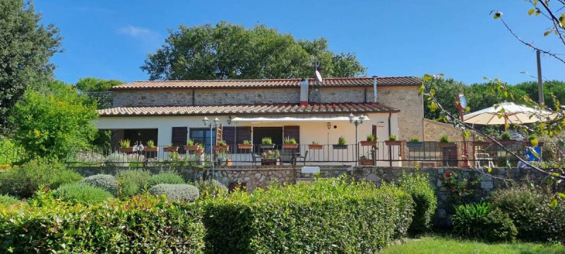 Lantställe i Scansano