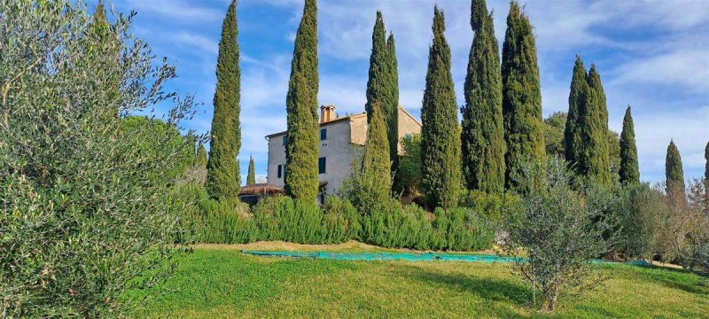 Lantställe i Magliano in Toscana