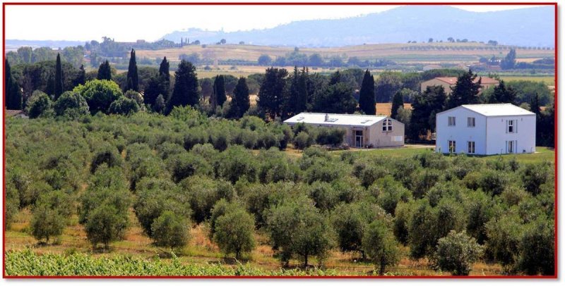 Lantställe i Castiglione della Pescaia