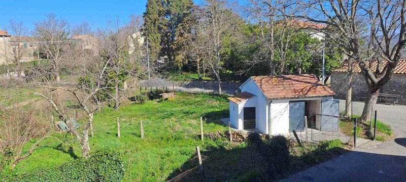 Teto/Chão em Scansano