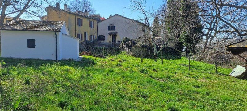 Teto/Chão em Scansano