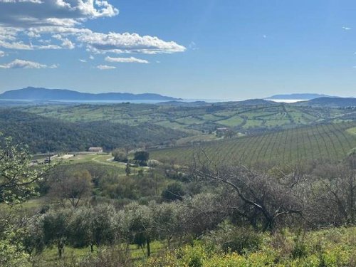 Дом в Мальяно-ин-Тоскана