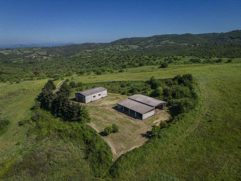 Klein huisje op het platteland in Magliano in Toscana