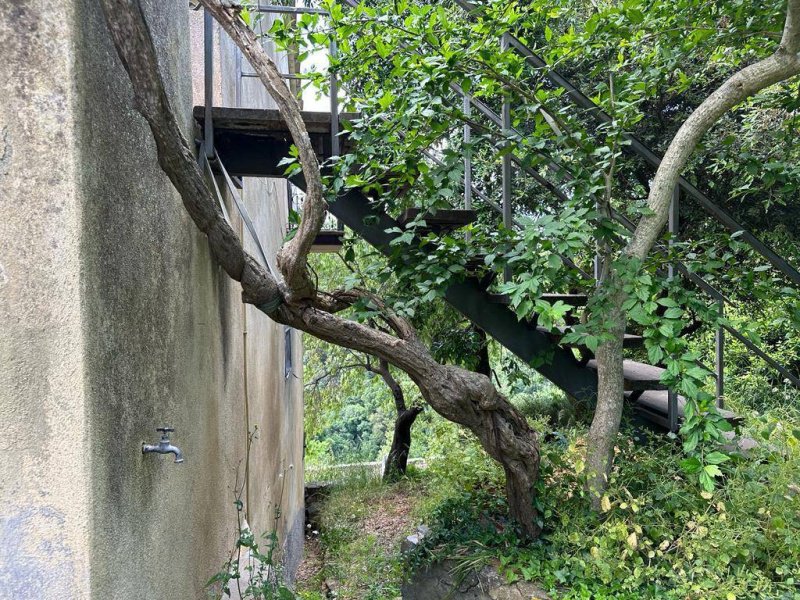 Квартира в Мальяно-ин-Тоскана