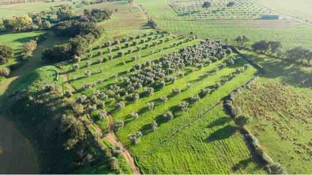 Квартира в Роккастрада