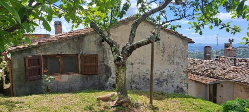 Apartamento independente em Scansano