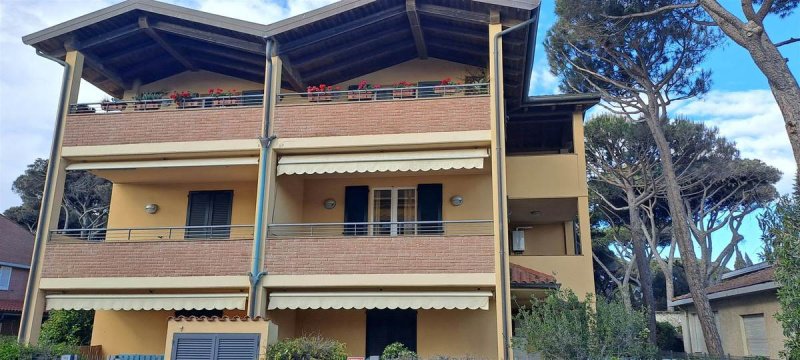 Apartamento en Grosseto