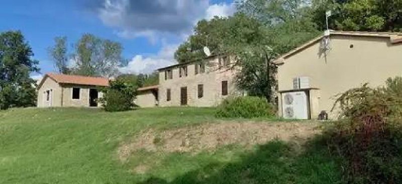 Lantgård i Scansano