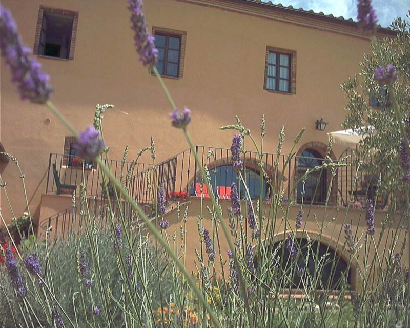 Casolare a Campagnatico