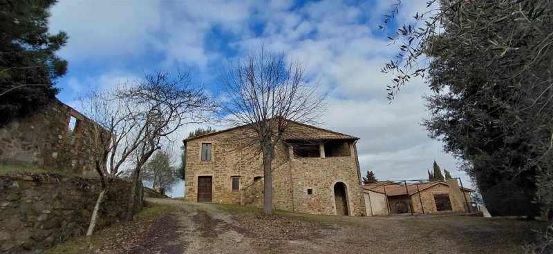 Lantställe i Montalcino