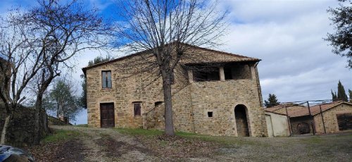 Lantställe i Montalcino