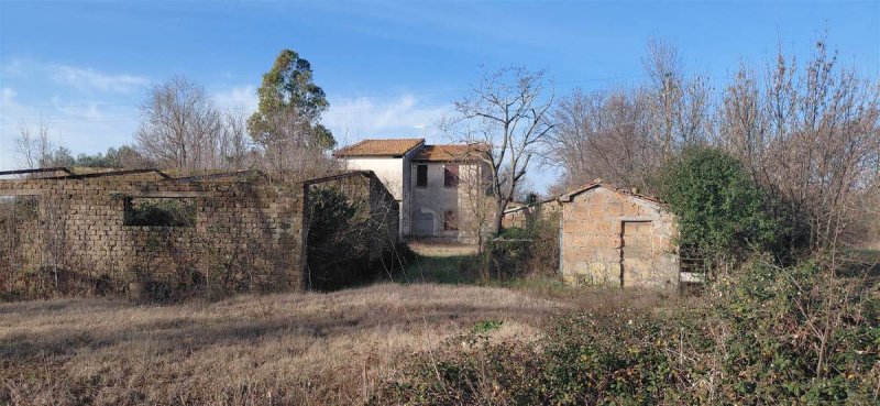 Hus i Scansano