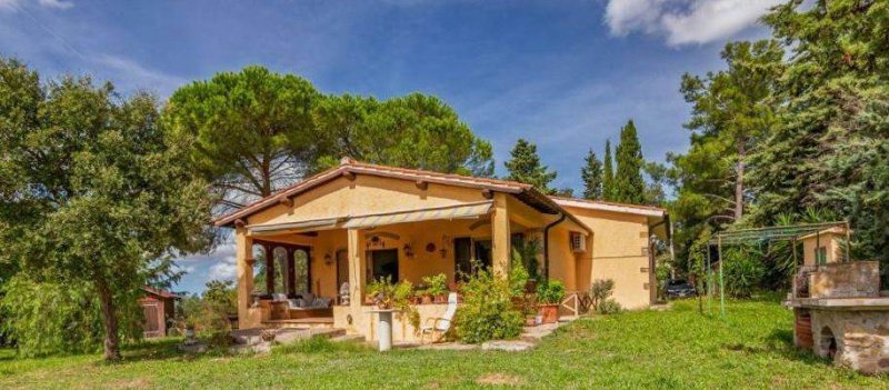 Solar em Magliano in Toscana