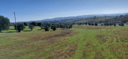 Ferme à Scansano