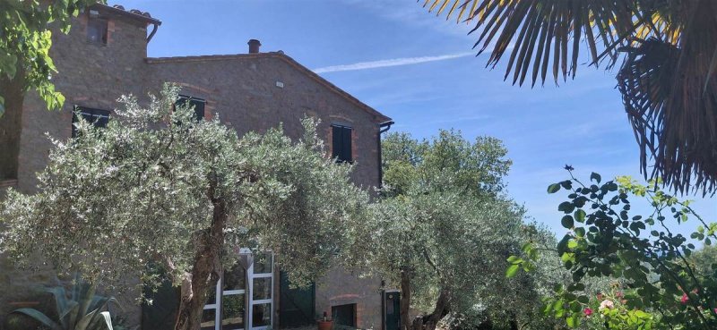 Ferme à Scansano
