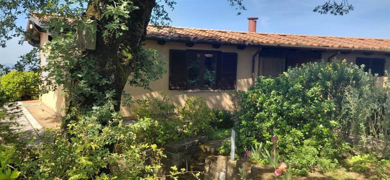 Maison à Scansano