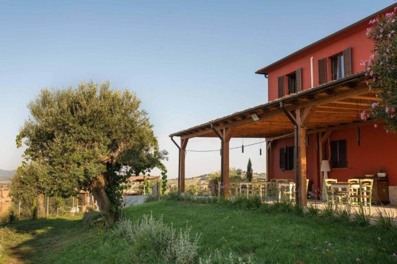 Farmhouse in Magliano in Toscana