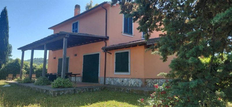Solar em Scansano