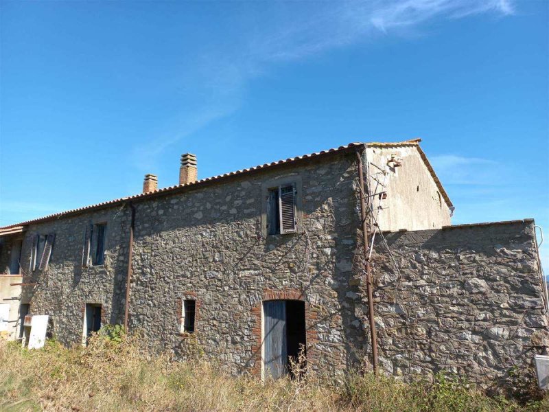 Azienda agricola a Scansano