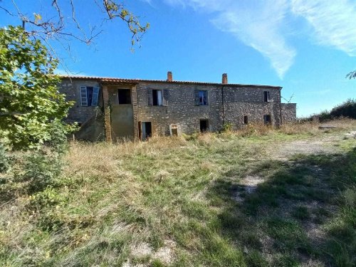 Azienda agricola a Scansano