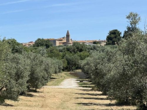 Haus in Magliano in Toscana